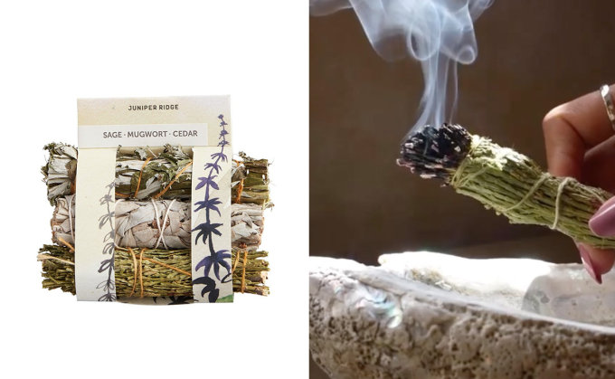 鼠尾草淨化｜鼠尾草哪裡買？5大快樂鼠尾草功效、禁忌及正確用法！