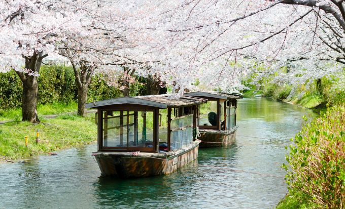 京都自由行2026｜15大必去京都景點！最新任天堂博物館/絕美神社/京都近郊一日遊