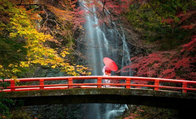 京都自由行2026｜15大必去京都景點！最新任天堂博物館/絕美神社/京都近郊一日遊