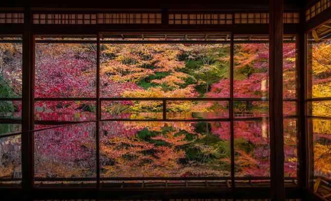 京都自由行2026｜15大必去京都景點！最新任天堂博物館/絕美神社/京都近郊一日遊
