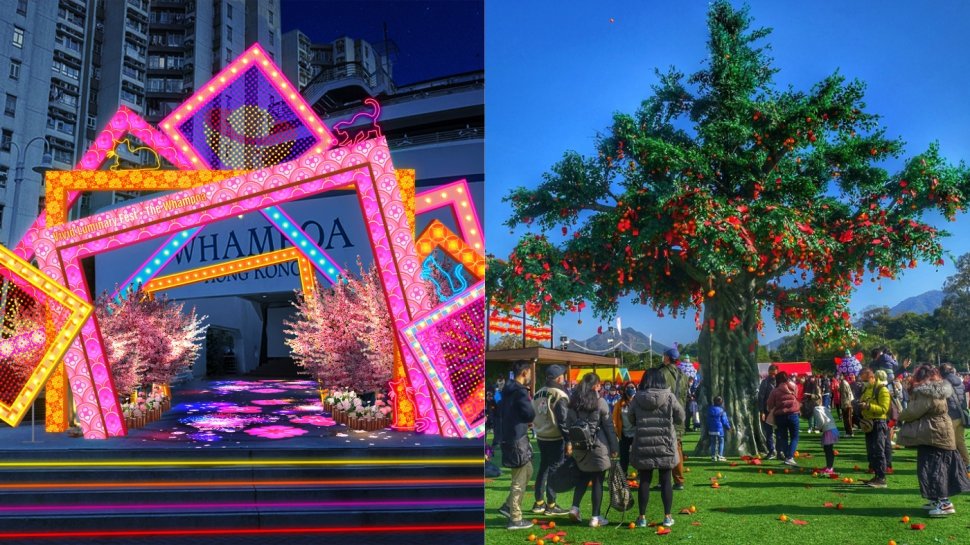 新年好去處2025｜17大新年行大運活動推介：年宵花市/新年市集/林村許願樹/寶雲道姻緣石