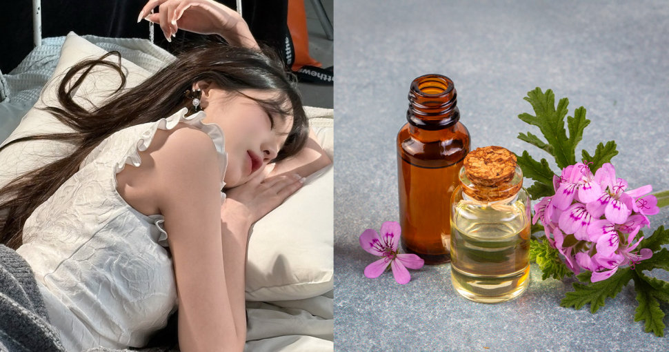 天竺葵精油功效與禁忌｜有助睡眠及護膚？最佳用法搭配指南+天然精油推薦