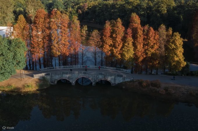 廣州好去處2026｜12大廣州景點推介！廣州融創雪世界/長隆動物園/文青打卡點一次滿足