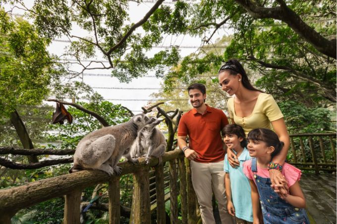 新加坡自由行好去處｜動物園必玩景點！萬態野生動物世界攻略/美食/最新室內景點/雨林探險