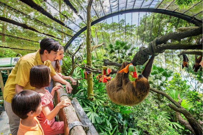 新加坡自由行好去處｜動物園必玩景點！萬態野生動物世界攻略/美食/最新室內景點/雨林探險